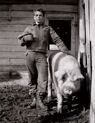 James Dean vivió con su infancia y adolescencia con su  tío en la granja, pegado a la naturaleza.jpg