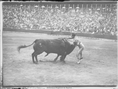 las famosas estocadas de “Fortuna” Foto Vandel, Biblioteca Regional de Madrid.jpg