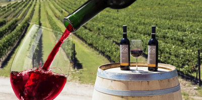 Parras de la Fuente vinos de México en Coahuila.jpg