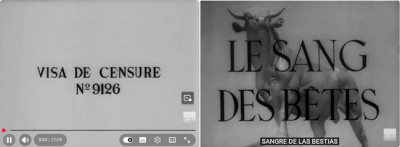 Le sang des betes.jpg