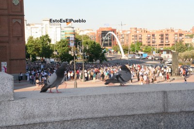 Las Ventas Paseo Taurino palomas.jpg