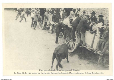 Saintes Maries de la Mer Toros época Frederic Mistral.jpg