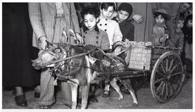 San Antón 1953 Un perro con su carrito uncido y los niños Pepe Campúa.jpg