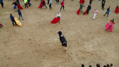 Carnaval del Toro y una torera.jpg