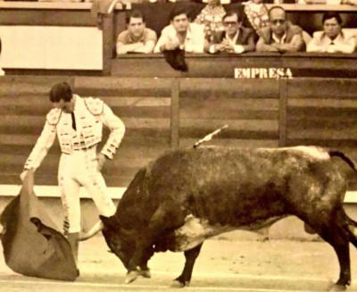 Julio Robles, toro de Joaquín Buendía. La firma personal de Robles..jpg