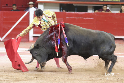 El diestro Isaac Fonseca Foto Emilio Méndez.jpg