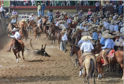 Coleadero de la Unión de San Antonio en Jalisco.jpg
