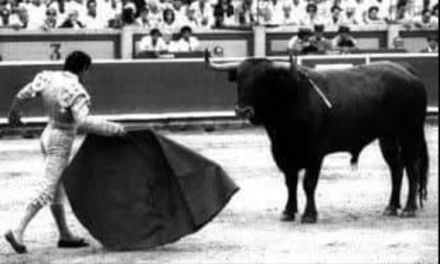 Ruiz Miguel Toro Estopeño miura 659 kgs.jpg