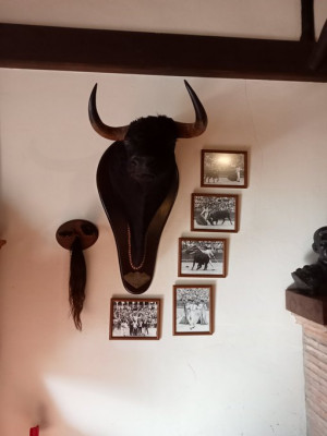 Ruiz Miguel y la cabeza del toro Gallero.jpg