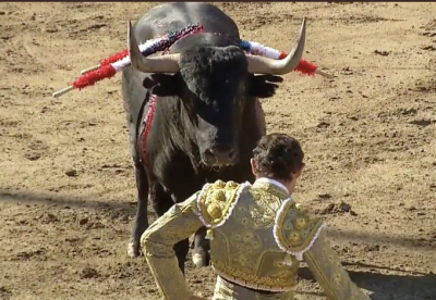 Sánchez Vara y los toros más difíciles.png