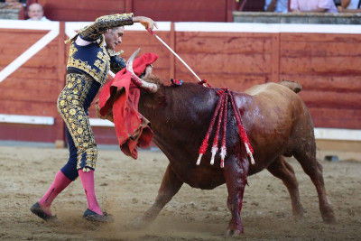 Sánchez Vara entra a matar toro Reta foto Javier Bergasa.jpg