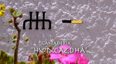 Ganadería Huixcazdhá en el municipio de Huichapan Hidalgo.jpg