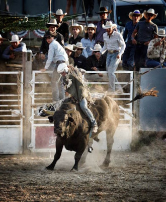 Bull riding.jpg