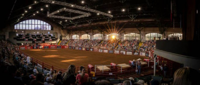 Rodeo Arena.jpg