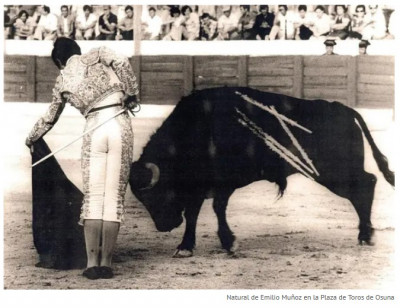 Emilio Muñoz Pase natural en la plaza de toros de Osuna.jpg