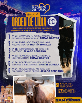 12 Mayo novillada en Las Ventas los novillos.jpg