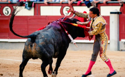 Buenos días Ivan Fandiño Encerrona en Madrid y entra a matar.jpg