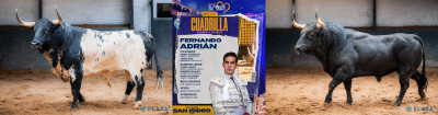 Fernando Adrián y sus dos toros Encarcelado y Herrerillo.jpg