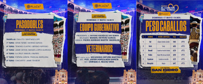 Equipo gubernativo, veterinarios, pasodobles y caballos domingo 17.jpg