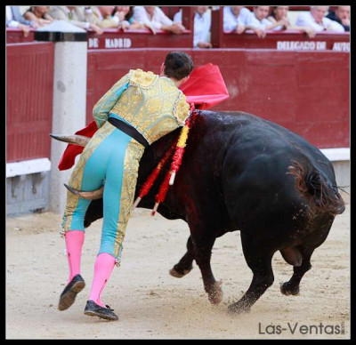 Fernando Adrián cogido en Las Ventas y luego revolcón.jpg