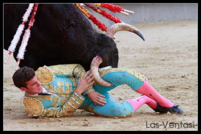 Fernando Adrián cogido en Las Ventas.jpg
