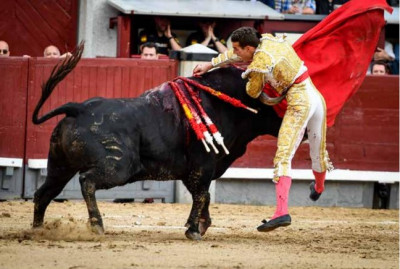 Fernando Adrián entrando a matar.jpg