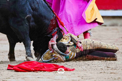 Fernando Adrián en Pamplona La Palmosilla.jpg