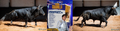 Sebastián Castella Nº 172, “Víbora”,  primero de la tarde. Nº 79, “Cantaor”.jpg