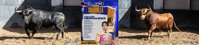 Lote de Víctor Hernández. Nº 241, “Tonadillo”, tercero de la tarde. Nº 43, “Amoroso”, sexto de la tarde..jpg