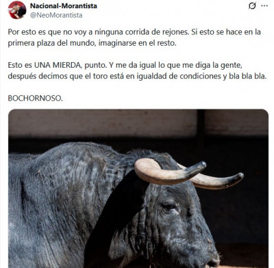 Toros para rejones bien afeitados en Las Ventas.jpg
