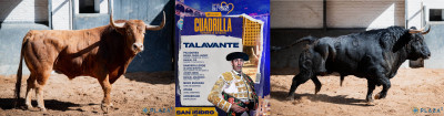 Lote d e Talavante Nº 87, “Guapito”, segundo de la tarde. Nº 66, “Frailón”, quinto.jpg