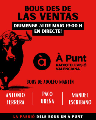 bous des de las Ventas.jpg