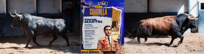 Toros de Ismael Martín. Nº 30, “Caprichoso”, segundo de la tarde. Nº 20, “Bombón”.jpg