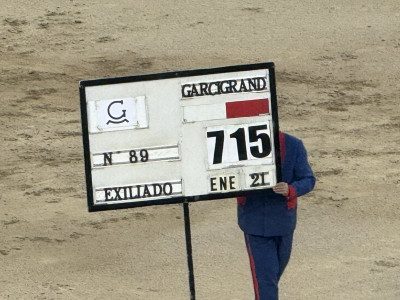 El toro de 715 kilos Exiliado de Garcigrande.jpg