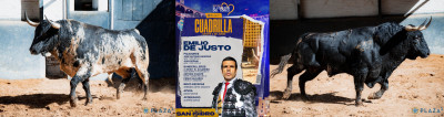 Emilio de Justo Nº 94, “Opaco”,  1º de Jandilla. Nº 93, “Lacerado”, 4º de la tarde de Jandilla..jpg