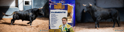 Toros para Clemente Nº 19, “Servidor”, segundo de la tarde. Nº 118, “Soldador”, quinto.jpg