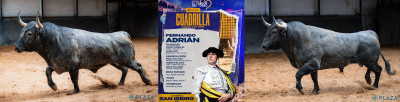 Toros de Fernando Adrián Nº 64, “Buscaliebres”, segundo de la tarde. Nº 63, “Jarretero”,.jpg
