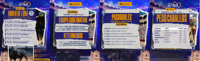 Orden de lidia, equipo veterinario, pasodobles y caballos.jpg