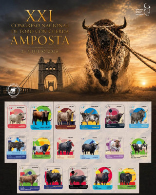 Ampota, los toros de las localidades.jpg