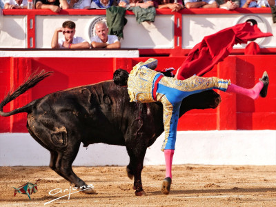 Marco Pérez cogido Segundo Caudillo Oreja.jpg