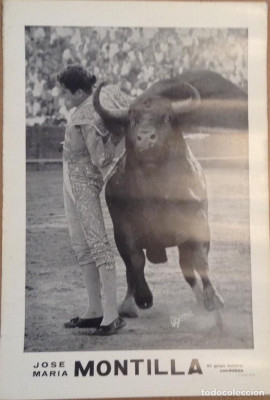 José María Montilla con un toro impresionante.jpg