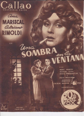 Ana Mariscal Una sombra en la ventana.jpg