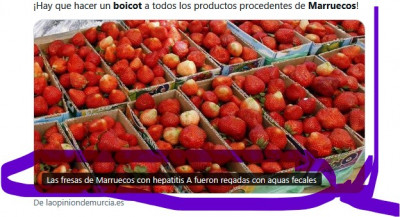 boicot Marruecos.jpg