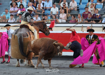 El monosabio Jesús San Juan cogido grave  Plaza de Toros de Vista Alegre Bilbao.jpg