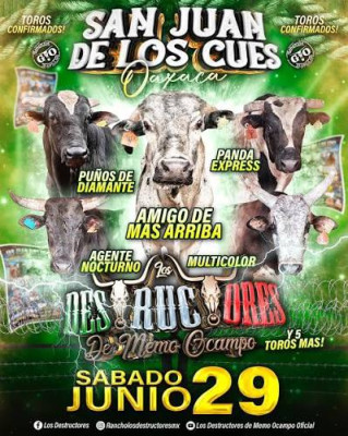 Huajuapan de León en Oaxaca Mx ferias de jaripeos.jpg