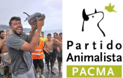 Partido Pacma y el delfín.jpg