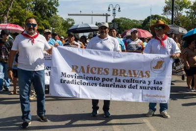 Manifestaciones en Quintana Roo en defensa de las corridas de toros y ocio con animales.jpg