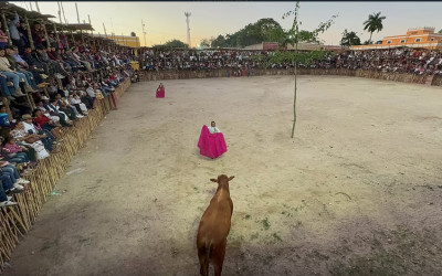Quintana Roo Siguen las corridas a pesar de las prohibiciones.jpg