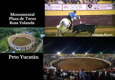 Peto plaza de toros Monumental Rosa Yolanda.jpg