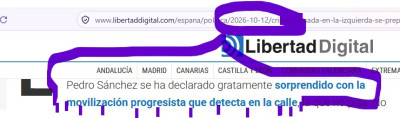 Sánchez y la movilización.jpg